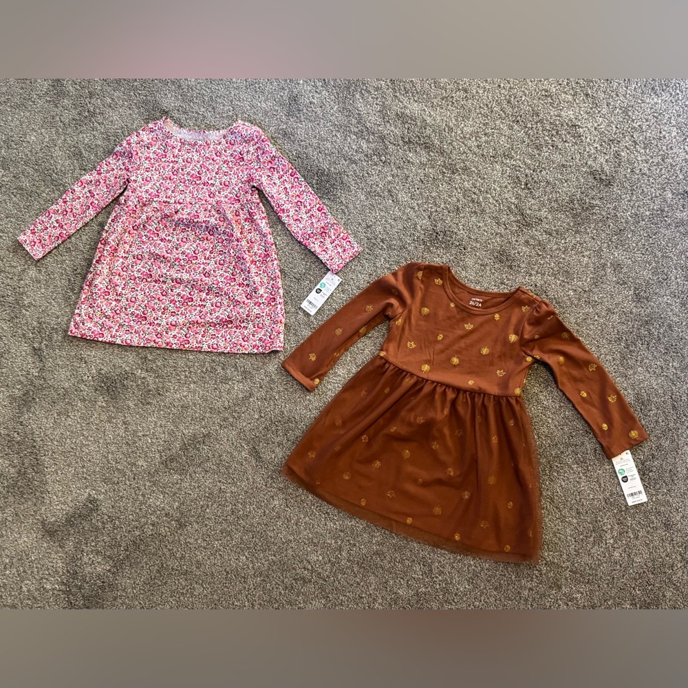 Set of 2 Adorable Carter’s long sleeve dresses 2T Fall Girls pull on Pumpkins